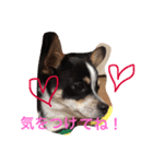 うー、ロイ（個別スタンプ：4）