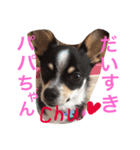 うー、ロイ（個別スタンプ：6）