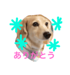 うー、ロイ（個別スタンプ：7）