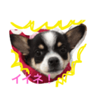 うー、ロイ（個別スタンプ：8）