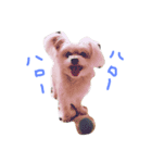 僕ハッピィ1（個別スタンプ：3）