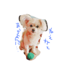 僕ハッピィ1（個別スタンプ：5）
