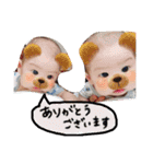 陽斗＆絢斗（個別スタンプ：12）