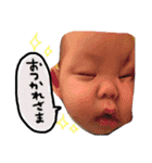 陽斗＆絢斗（個別スタンプ：15）