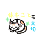 日常生活と猫（個別スタンプ：1）