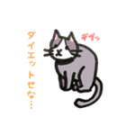 日常生活と猫（個別スタンプ：11）