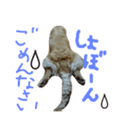 だるゆる犬（個別スタンプ：8）