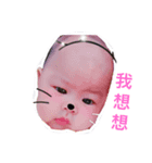 Familytong（個別スタンプ：2）
