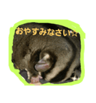 モモンガ～（個別スタンプ：4）