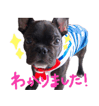 もっとヴァスラフ！時々大阪弁（個別スタンプ：11）