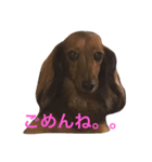ここの1日。（個別スタンプ：2）