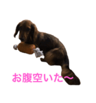 ここの1日。（個別スタンプ：3）