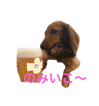 ここの1日。（個別スタンプ：5）