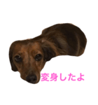 ここの1日。（個別スタンプ：6）