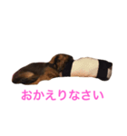 ここの1日。（個別スタンプ：7）