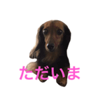 ここの1日。（個別スタンプ：8）