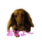 ここの1日。（個別スタンプ：9）