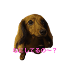 ここの1日。（個別スタンプ：10）