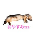 ここの1日。（個別スタンプ：12）