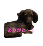 ここの1日。（個別スタンプ：13）