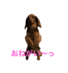 ここの1日。（個別スタンプ：14）