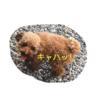 小野家の生き物たち（個別スタンプ：9）