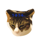 小野家の生き物たち（個別スタンプ：14）