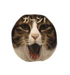 小野家の生き物たち（個別スタンプ：16）