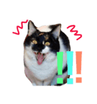 愛すべき家族（個別スタンプ：1）