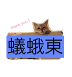 愛すべき家族（個別スタンプ：3）