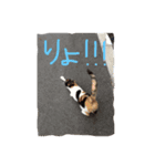 愛すべき家族（個別スタンプ：8）