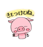 ぶたさんの日常スタンプ（個別スタンプ：25）