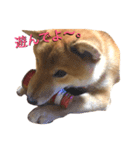 ぽこくんの毎日。（個別スタンプ：14）