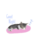 にゃんず コミュニティー。（個別スタンプ：6）