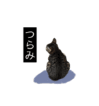 にゃんず コミュニティー。（個別スタンプ：15）