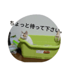 someinostamp 2（個別スタンプ：9）