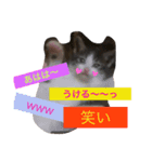 きらぷうスタンプスリー（個別スタンプ：4）