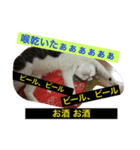 きらぷうスタンプスリー（個別スタンプ：6）