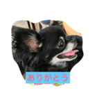 めぐがだいすき（個別スタンプ：2）