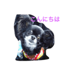 めぐがだいすき（個別スタンプ：6）