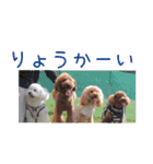 TRIP TO TATESHINA（個別スタンプ：6）