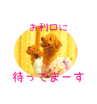 TRIP TO TATESHINA（個別スタンプ：8）