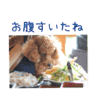 TRIP TO TATESHINA（個別スタンプ：9）