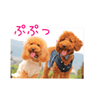 TRIP TO TATESHINA（個別スタンプ：10）