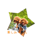 TRIP TO TATESHINA（個別スタンプ：11）