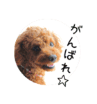 TRIP TO TATESHINA（個別スタンプ：23）