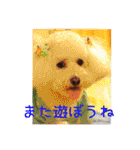 TRIP TO TATESHINA（個別スタンプ：32）