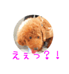 TRIP TO TATESHINA（個別スタンプ：34）