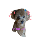 maromaron（個別スタンプ：8）