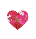花の写真集（ハート）（個別スタンプ：2）